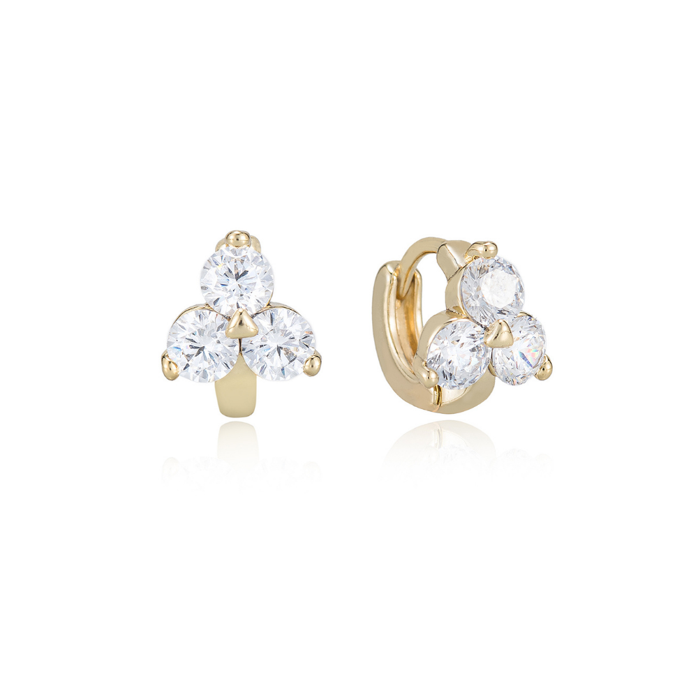 Dana Hoop Earrings