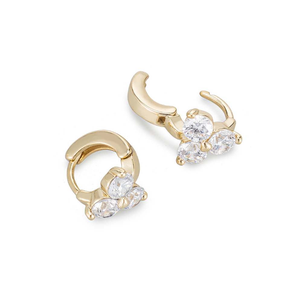 Dana Hoop Earrings