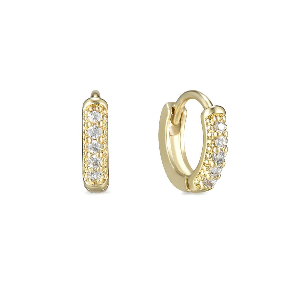 Trina Micro Hoop Earrings