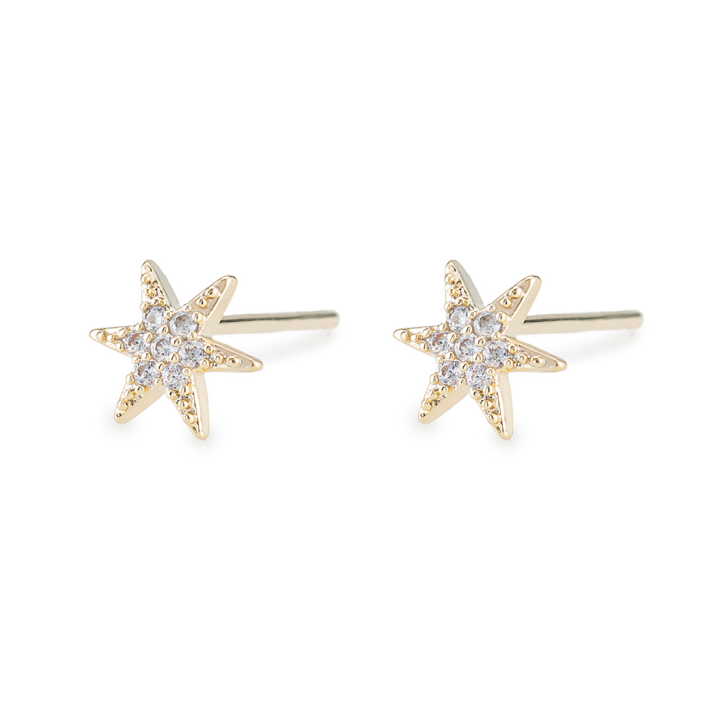 Rumi Star Stud Earrings